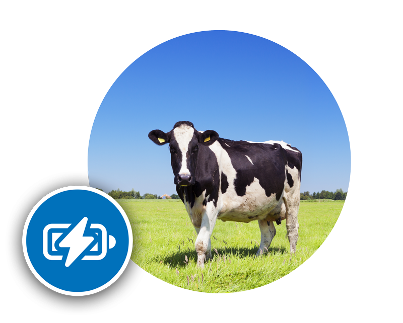 Wat is een euratainer